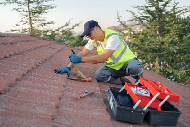 Best Roof Gutter Cleaning  in Benton, TN