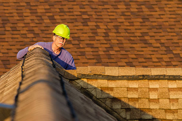 Best Roof Gutter Cleaning  in Benton, TN